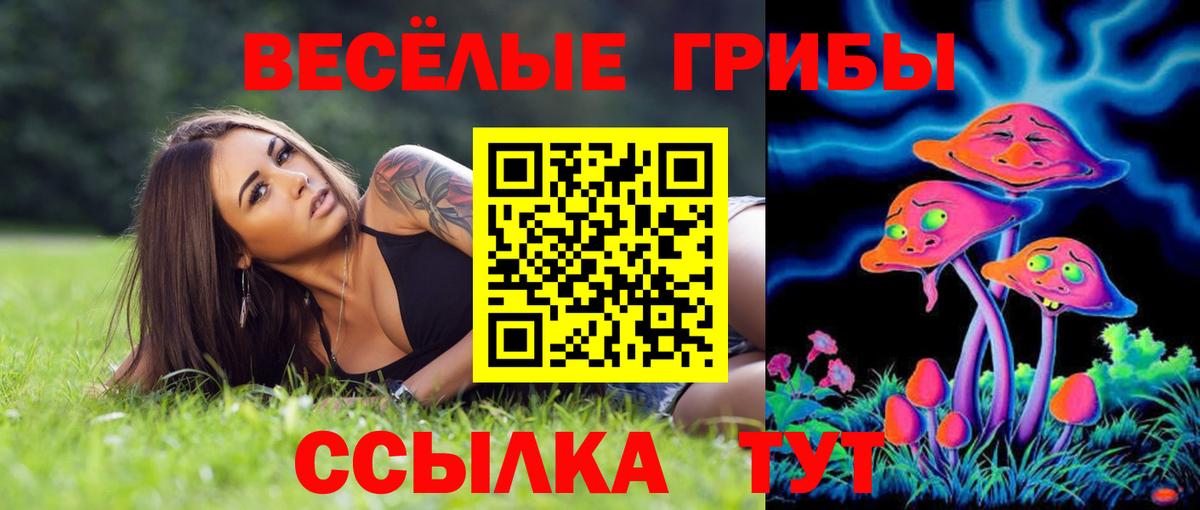 Галлюциногенные грибы Psilocybe  Псилоцибиновые грибы мицелий  Амурск  Вход с VPN 